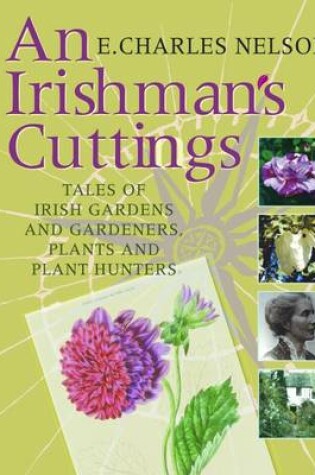 Cover of An Irishman's Cuttings