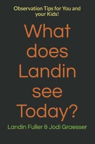 Cover of What does Landin see Today?