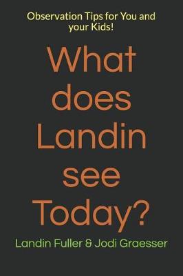 Book cover for What does Landin see Today?