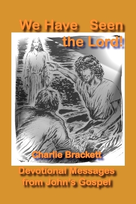 Book cover for We Have Seen the Lord