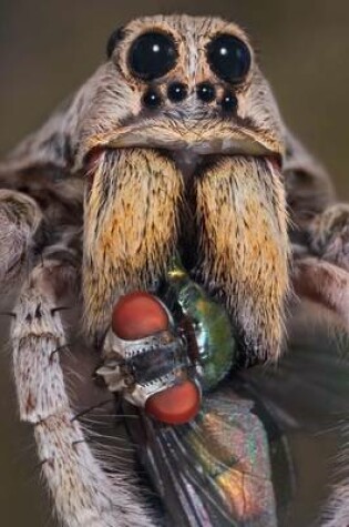 Cover of Portrait of Wolf Spider with Fly Journal