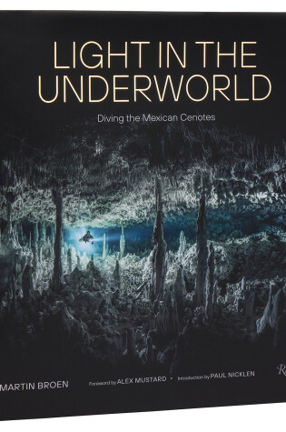 Cover of Light in the Underworld