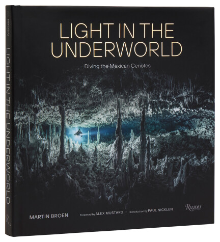 Book cover for Light in the Underworld