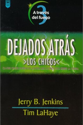 Cover of A Traves del Fuego