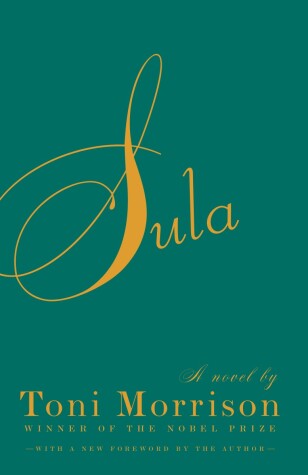 Book cover for Sula