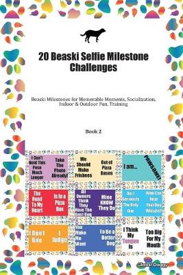 Book cover for 20 Beaski Selfie Milestone Challenges