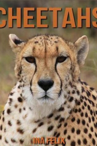 Cover of Cheetahs