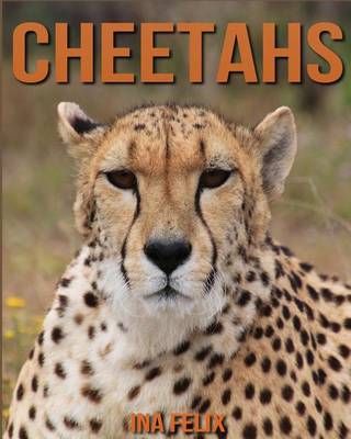 Book cover for Cheetahs