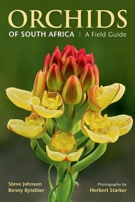 Book cover for Orchids of South Africa