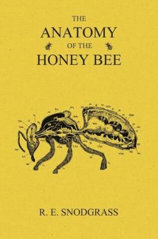 Cover of The Anatomy of the Honey Bee