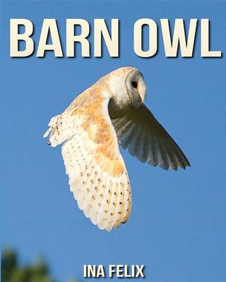 Book cover for Barn Owl