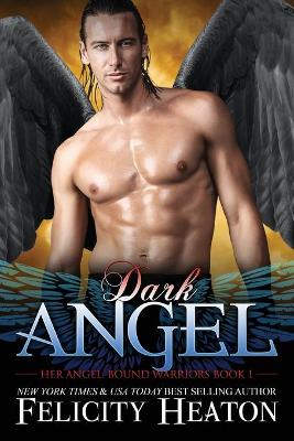 Book cover for Dark Angel