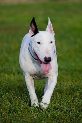 Book cover for The Bull Terrier Dog Journal