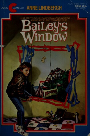 Cover of Bailey's Window