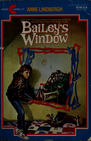 Book cover for Bailey's Window