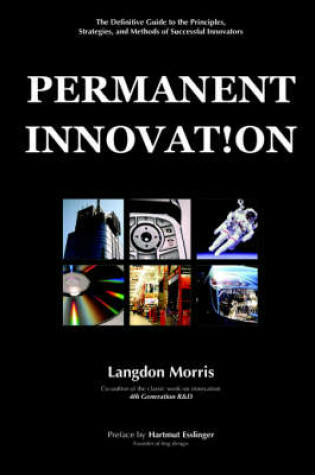 Cover of Permanent Innovation