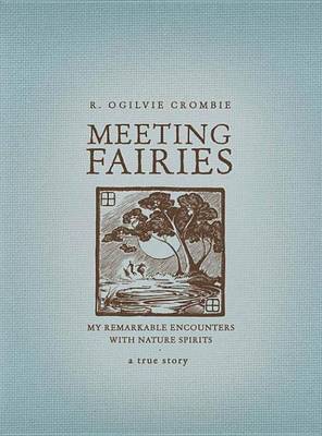 Book cover for Meeting Fairies