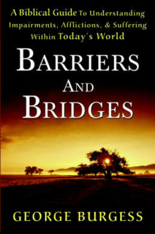 Cover of Barriers and Bridges