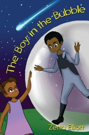 Cover of The Boy in the Bubble