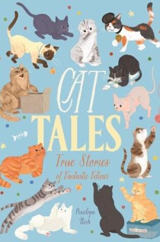 Cover of Cat Tales