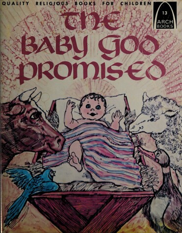 Book cover for The Baby God Promised