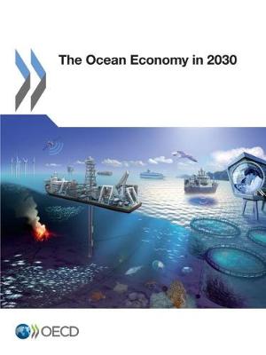 Book cover for The Ocean Economy in 2030