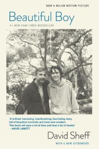 Cover of Beautiful Boy (Tie-In)