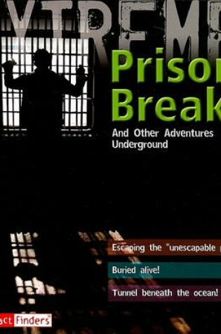 Cover of Prison Break!