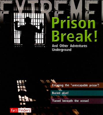 Book cover for Prison Break!