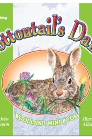 Cover of Cottontail's Dance