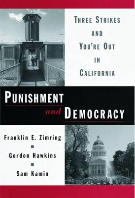 Book cover for Punishment and Democracy