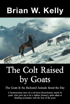 Book cover for The Colt Raised by Goats