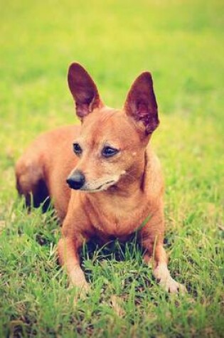 Cover of Miniature Pinscher