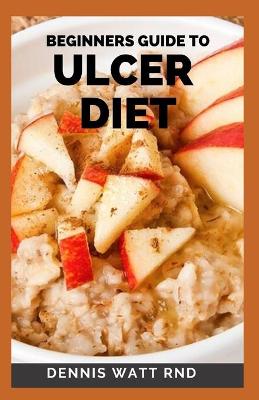 Book cover for Beginners Guide to Ulcer Diet