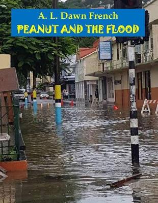 Book cover for Peanut and the Flood