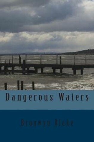 Cover of Dangerous Waters