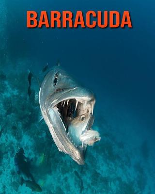 Book cover for Barracuda