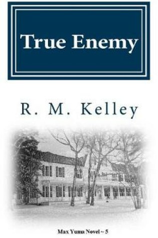 Cover of True Enemy