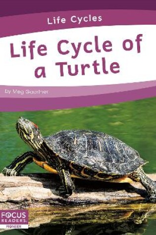 Cover of Life Cycle of a Turtle