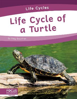 Book cover for Life Cycles: Life Cycle of a Turtle