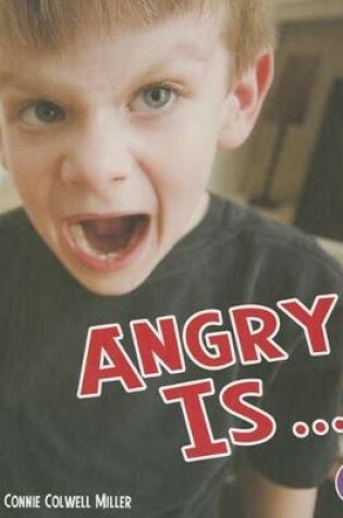 Cover of Angry Is ...