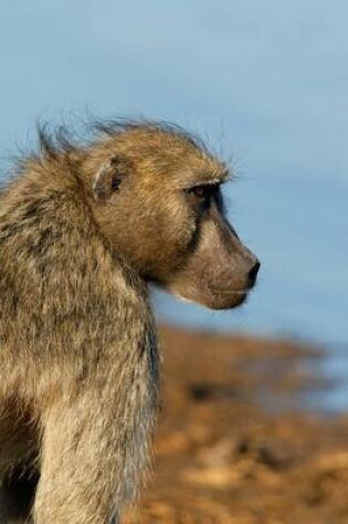 Cover of Chacma Cape Baboon Portrait Journal