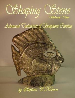 Book cover for Shaping Stone Volume Two