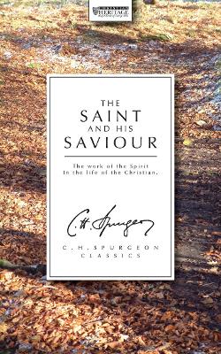 Book cover for The Saint And His Saviour