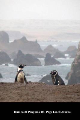 Book cover for Humboldt Penguins 100 Page Lined Journal