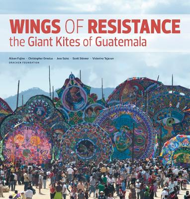 Book cover for Wings of Resistance