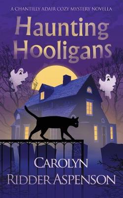 Book cover for Haunting Hooligans