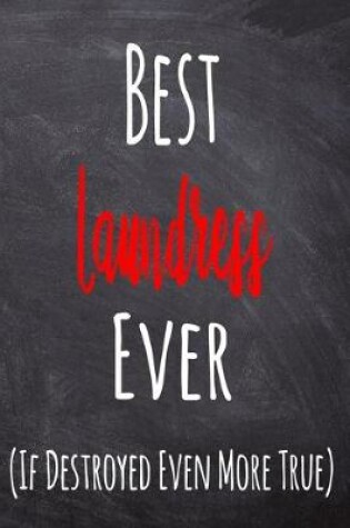 Cover of Best Laundress Ever (If Destroyed Even More True)