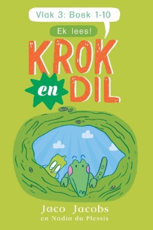 Cover of Krok en Dil Vlak 3 (Boeke 21-30)