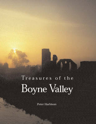 Book cover for Treasures of the Boyne Valley